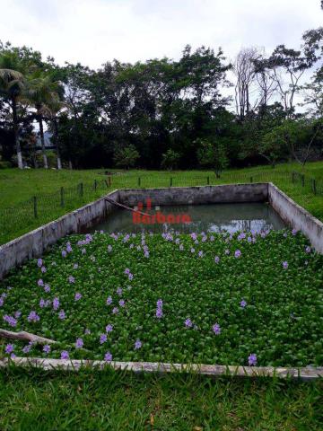 Sítio à venda em Ipiíba, São gonçalo cod:158 - Foto 13