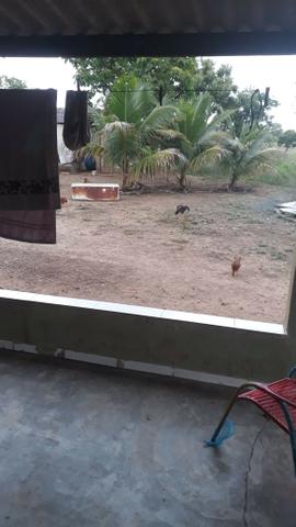 Àrea, Chácara 30.000m2, Aparecida de Goiânia, Madre Germana - Foto 4