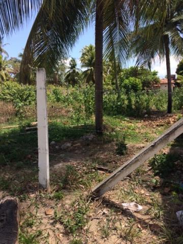 Lote 800m2 no Condomínio Privê Vila Velha em Ilha de Itamaracá Aceito Automóvel - Foto 6