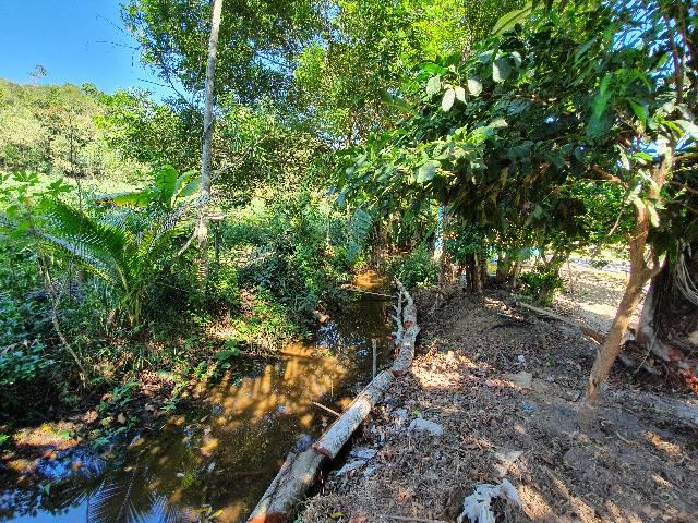 Chácara Aldeia Velha - Foto 3