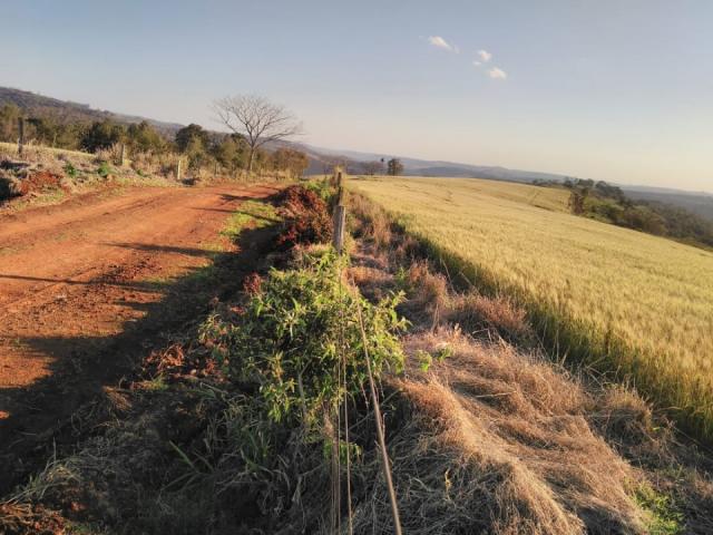 8271 | Fazenda à venda em ZONA RURAL, Cascavel - Foto 2