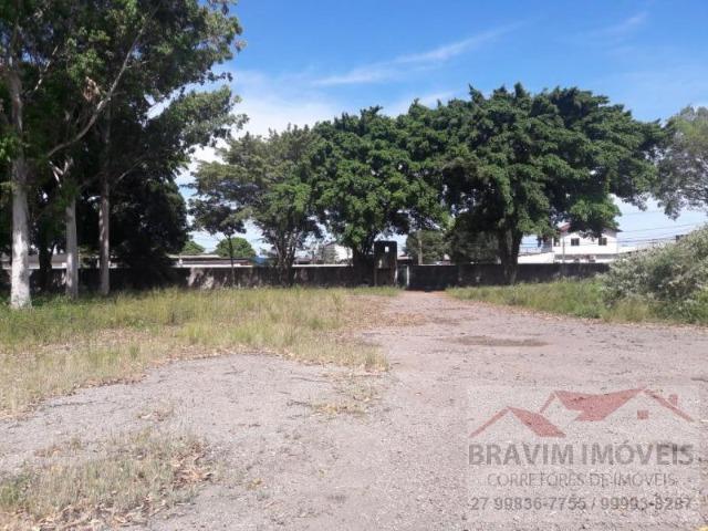 Galpão com área de total de 6.000m² - Foto 12