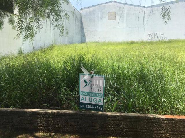 Terreno para alugar, 369 m² por R$ 2.000/mês - Portal de Versalhes 1 - Londrina/PR - Foto 4