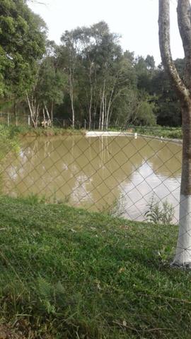 Chácara - Foto 2