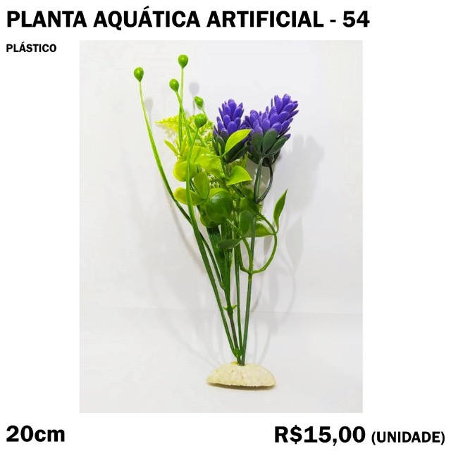 Planta com Flor Roxa para Aquário - Aquários e acessórios - Centro, João  Pessoa 850810901 | OLX