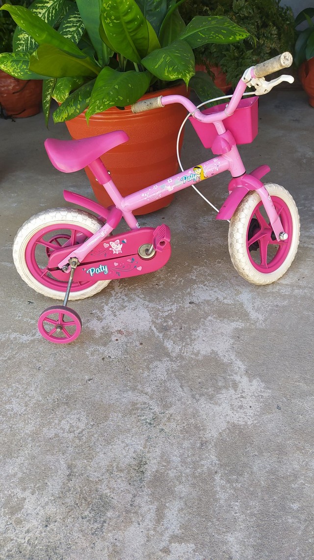 Triciclo da Bandeirantes/ bicicleta - Artigos infantis - Feu Rosa, Serra  1015391220 | OLX