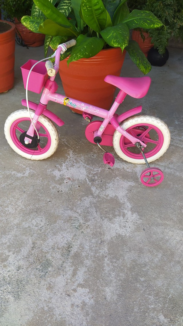 Triciclo da Bandeirantes/ bicicleta - Artigos infantis - Feu Rosa, Serra  1015391220 | OLX