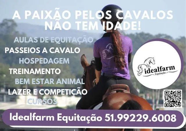 Aulas de Equitação Hipismo Montaria Passeio a Cavalo Hotelaria Equoterapia