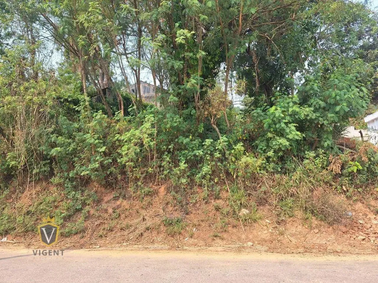 Terreno a venda no bairro Chácaras Santa Martha-Vázea Paulista-SP