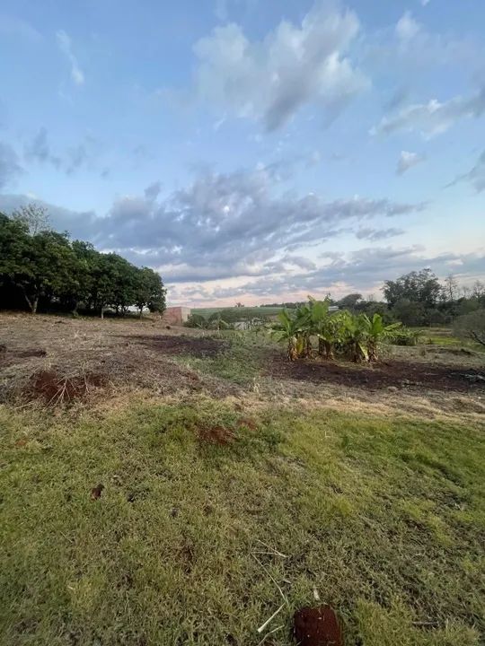 ÚLTIMAS CHÁCARAS DISPONÍVEIS ÀS MARGENS DO RIO TIBAGI PARCELADO - Foto 14