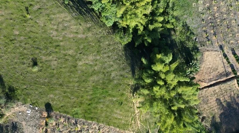 Oportunidade Única de Investimento: Terreno à Venda em Perobas, Domingos Martins! - Foto 14