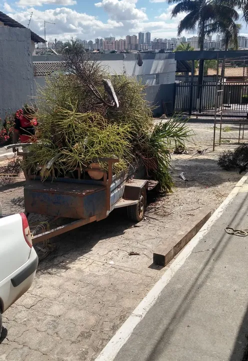 Jardineiro faz tudo
