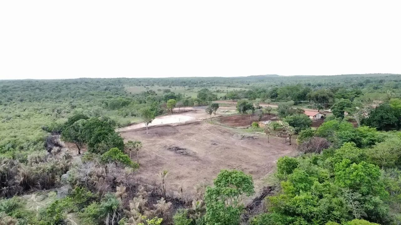 Fazenda  á venda com 100 hectares no município de Coivaras, 70 km de Teresina, - Foto 5
