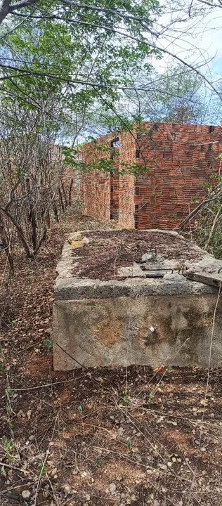 Terreno no loteamento são Francisco ( pedra branca) - Foto 2