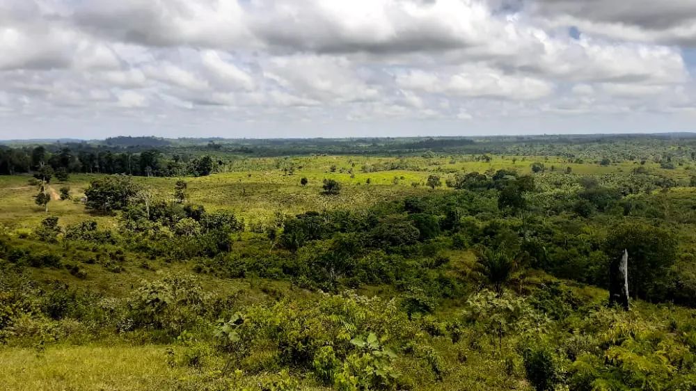 Fazenda para venda tem 1.113 Hectares em Breu Branco. PA. - Foto 4