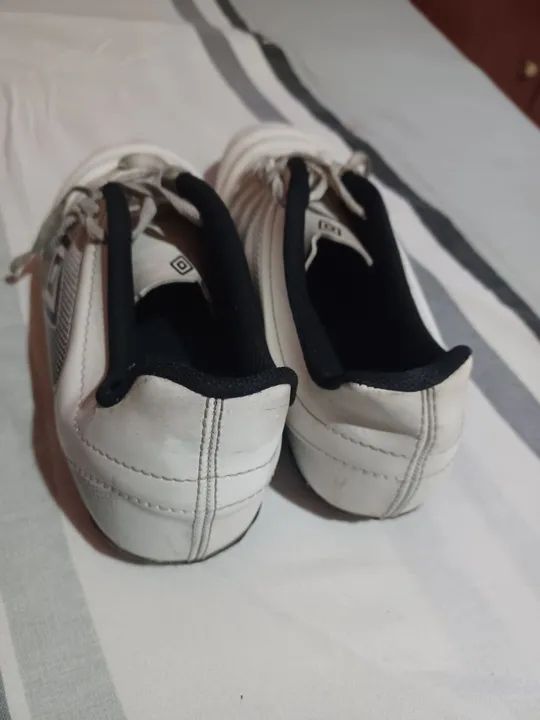 Campo umbro n. 39 - Foto 3