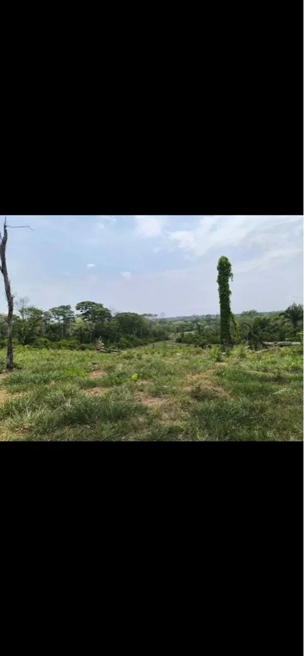 Vendo área de terra km 2 transacreana, as margens do rio Acre. - Foto 2