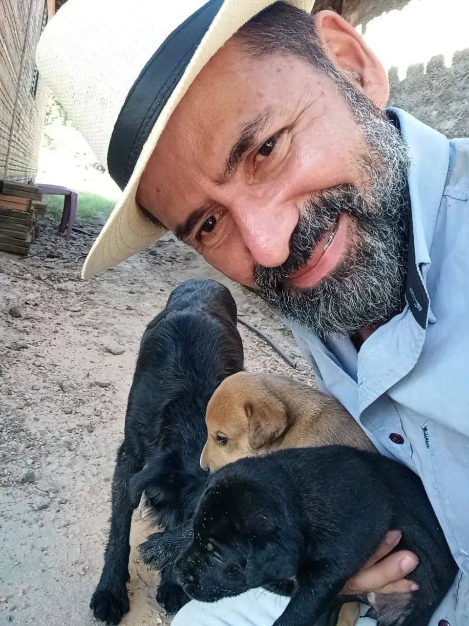 Filhotes de vira lata (doação) - Foto 3