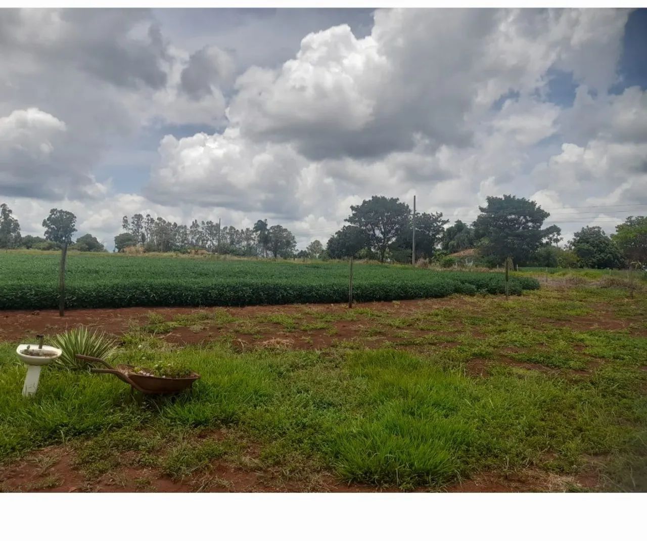 Sitio em sidrolandia eldorado2. Valor 370 mil - Foto 3