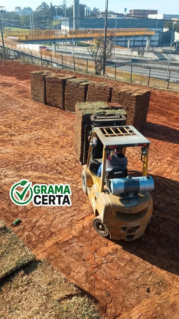 Grama Esmeralda em Limeira | Qualidade e Entrega Rápida - Foto 5