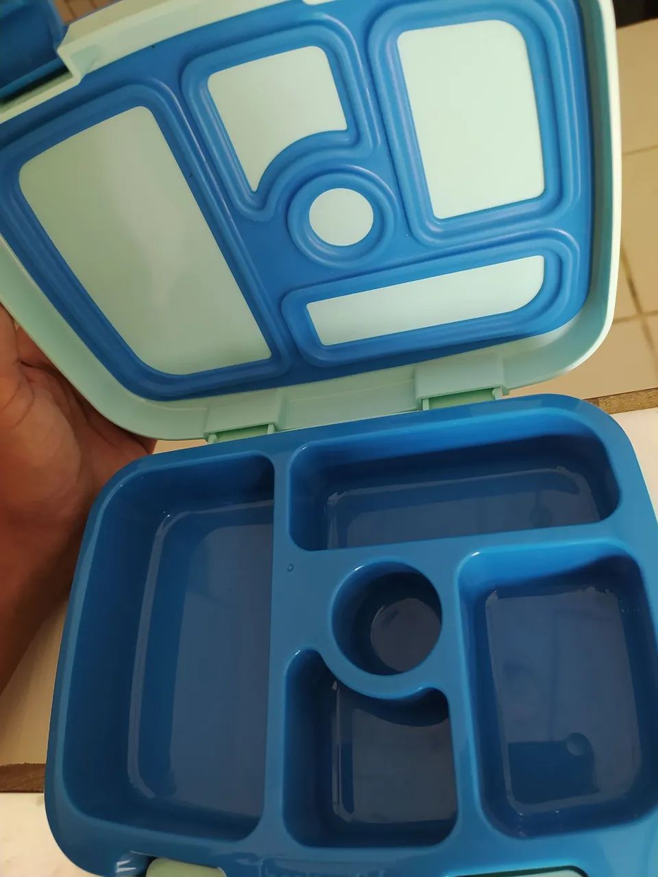 Imported Bentgo Lunch Box (New)64750317134465122