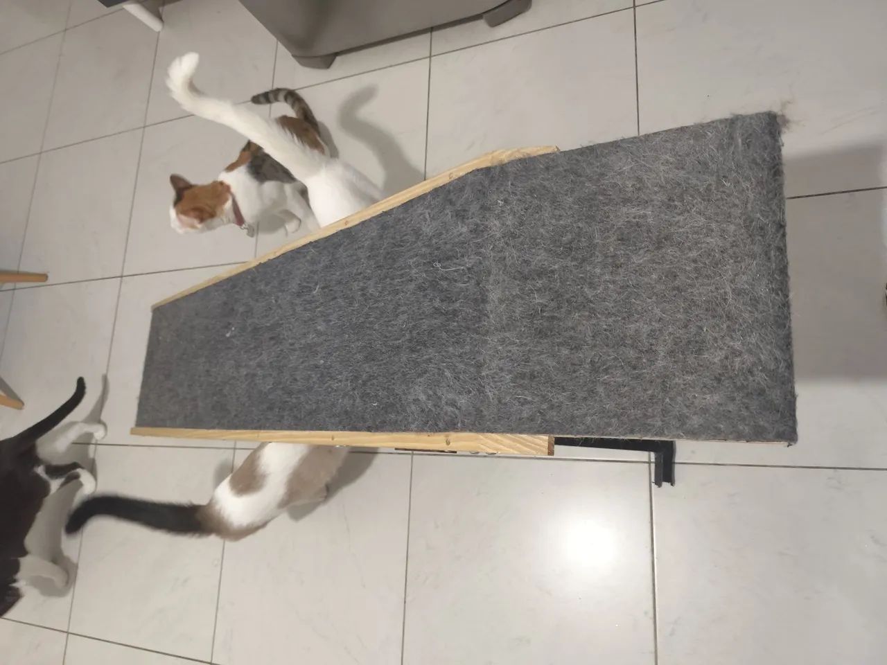 Rampa para pets - Foto 3