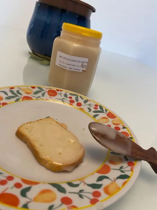 Mel de abelha Cru Cremoso 100% puro - Foto 2