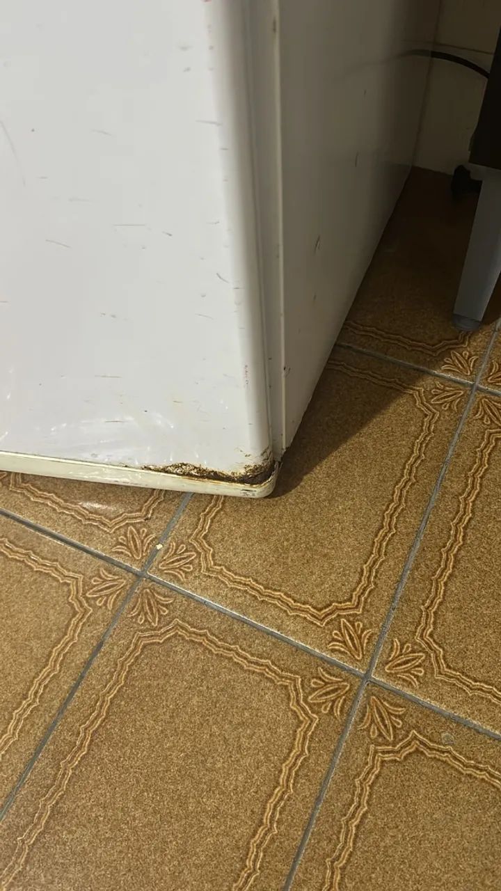 Mini Freezer  - Foto 4