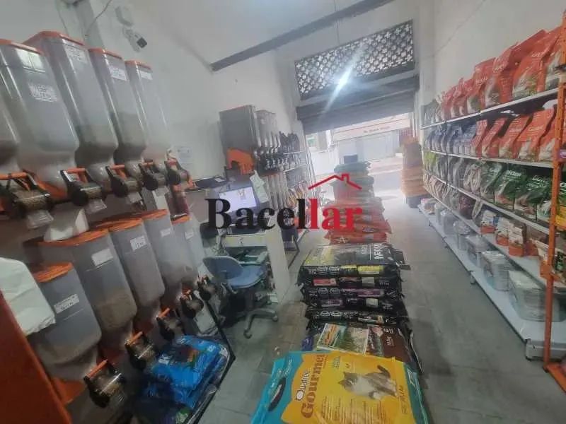 Apartamento : / Residencial / Andaraí - Foto 10