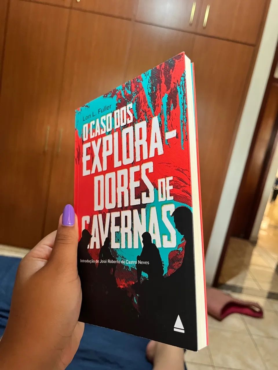 O Caso dos Exploradores de Cavernas - Lon L. Fuller - Foto 2