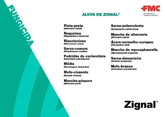 Zignal Fluazinam FMC Mofo Branco/ Sclerotinia - Foto 2