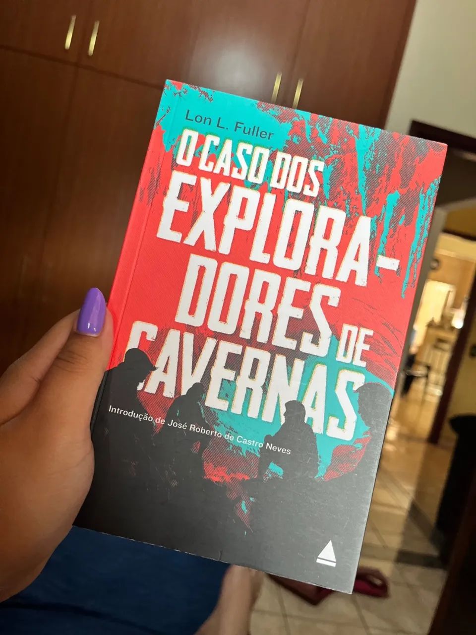 O Caso dos Exploradores de Cavernas - Lon L. Fuller