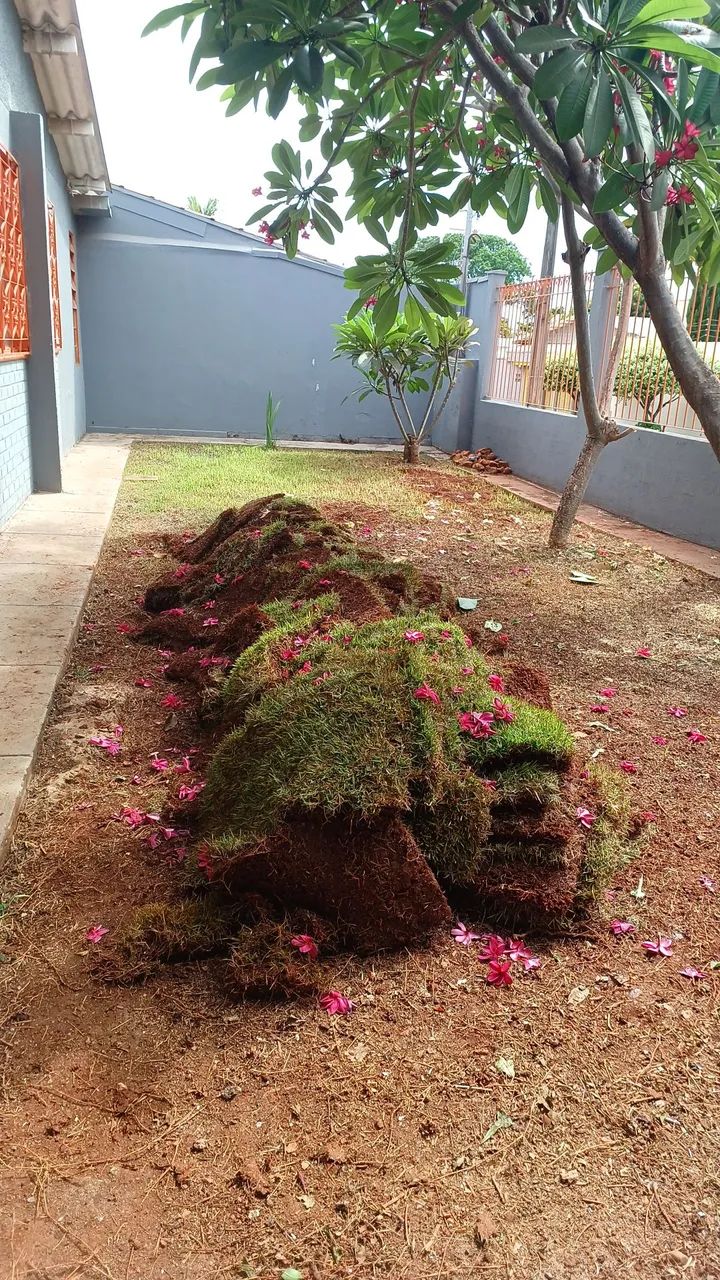 Vendo tapetes de grama esmeralda