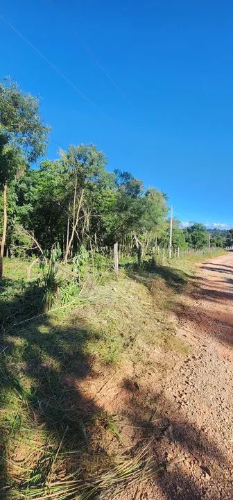 Terreno com área verde em região tranquila - Foto 3