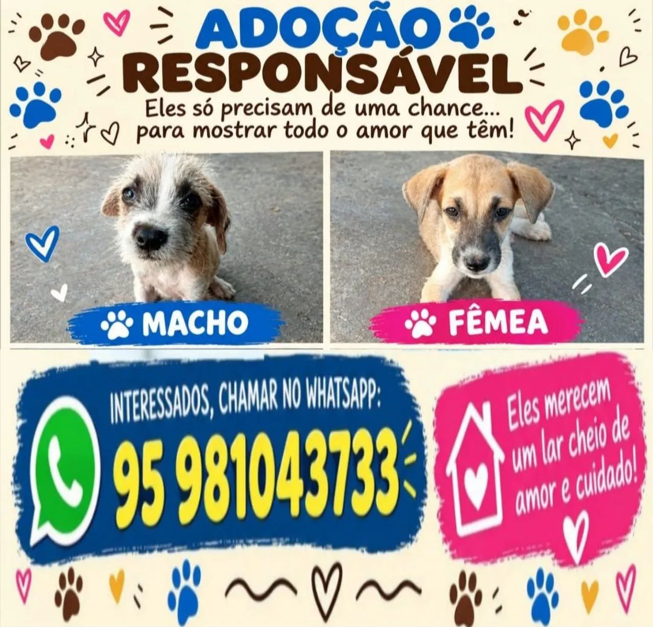 Doação Responsavel
