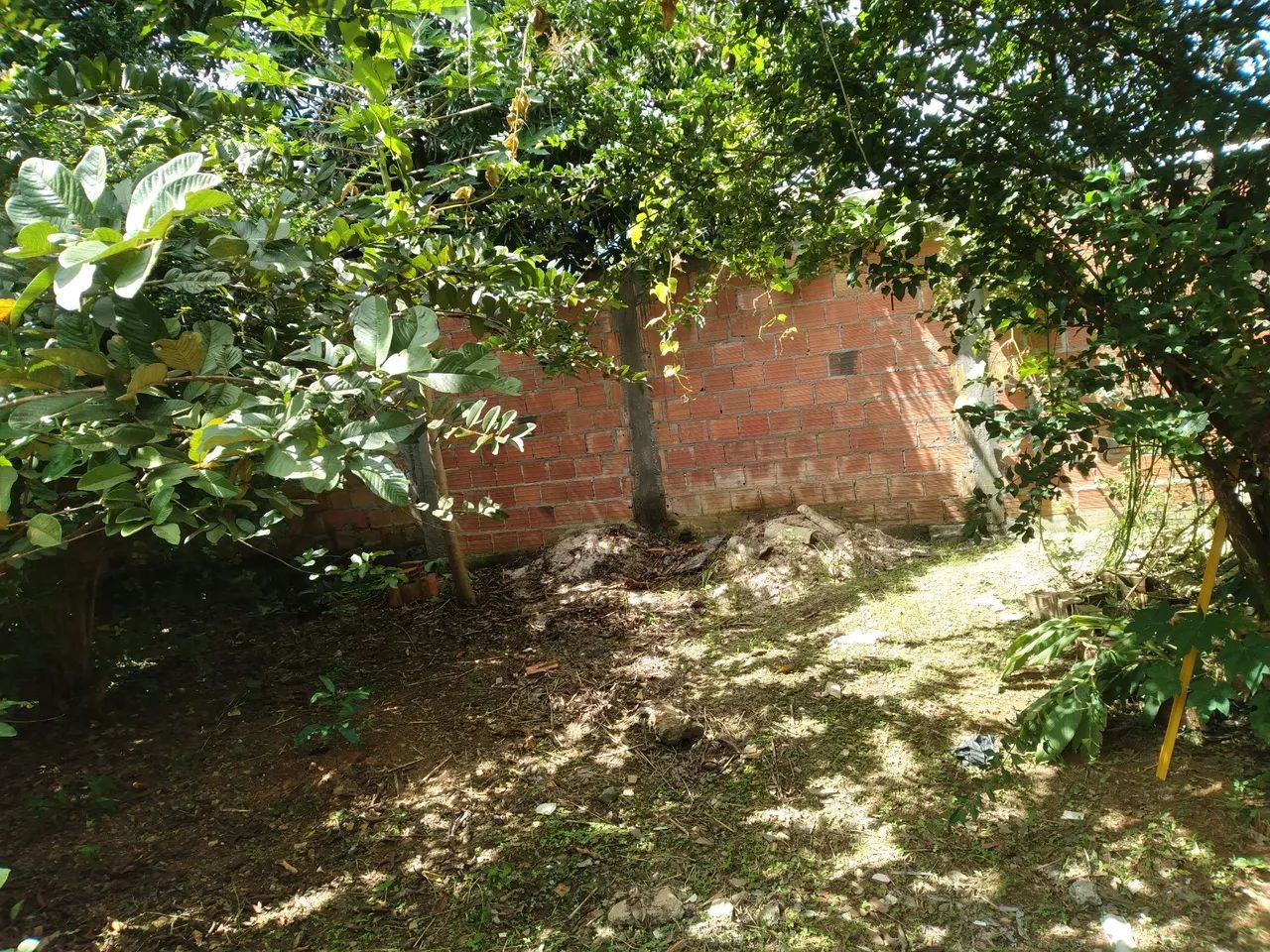 Terreno