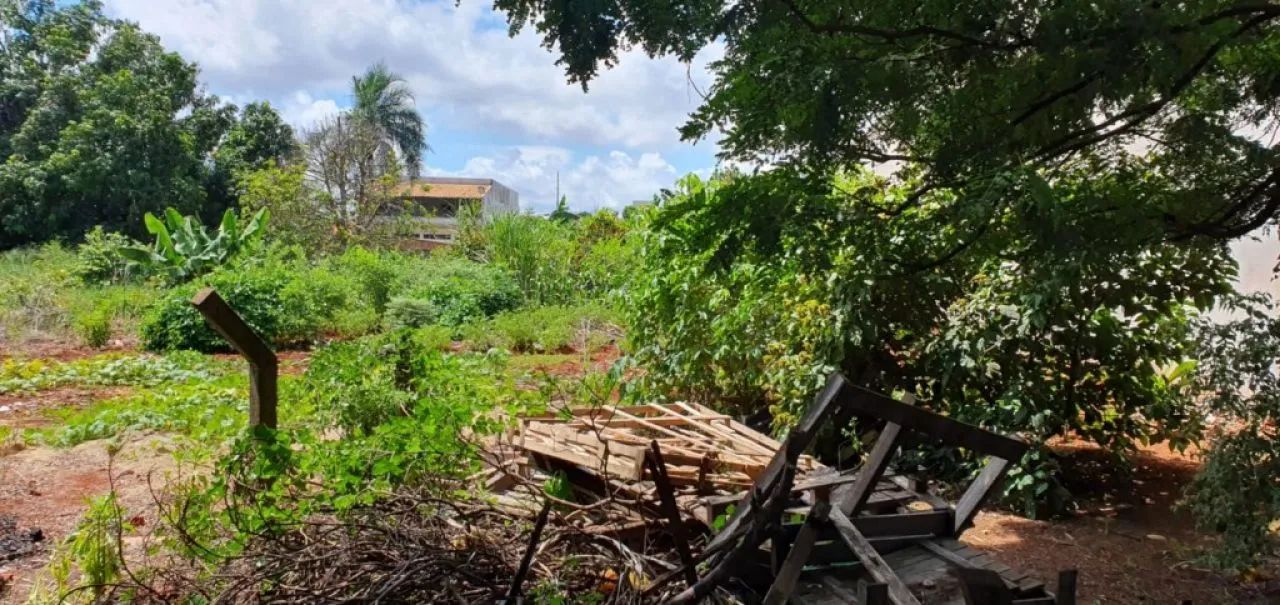 Terrenos para alugar em Portal das Torres, Maringá-PR - Foto 3