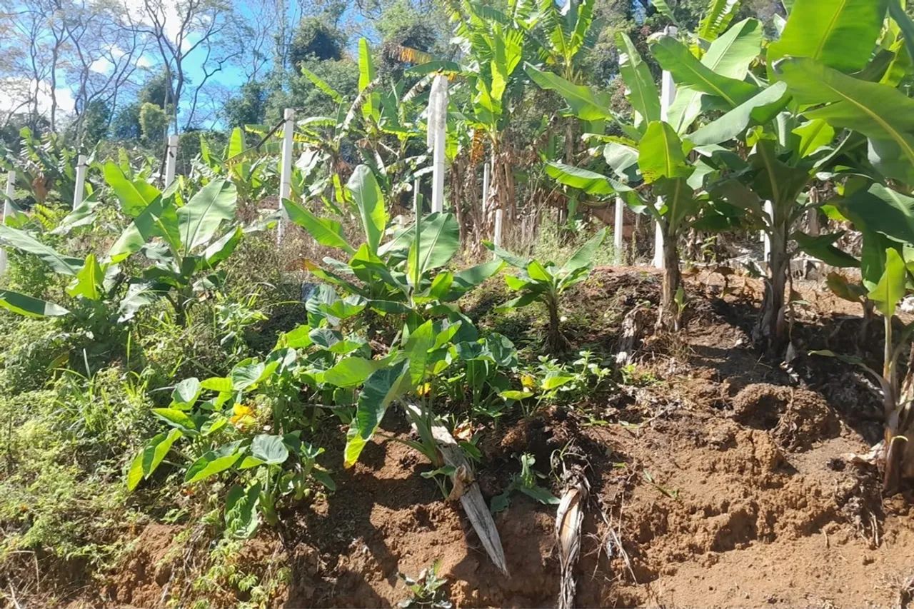 VENDO CHÁCARA EM CONDOMÍNIO RURAL! - Foto 2