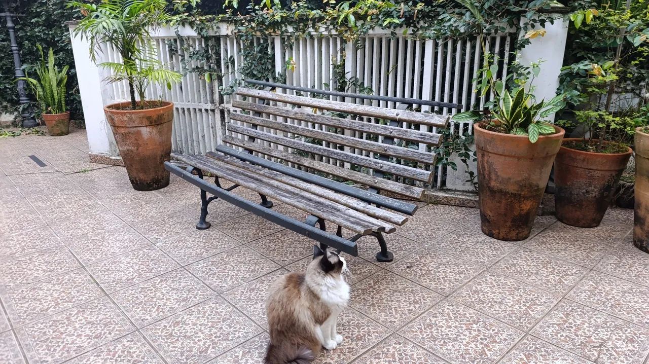 Banco de madeira Jardim/Praça  - Foto 3