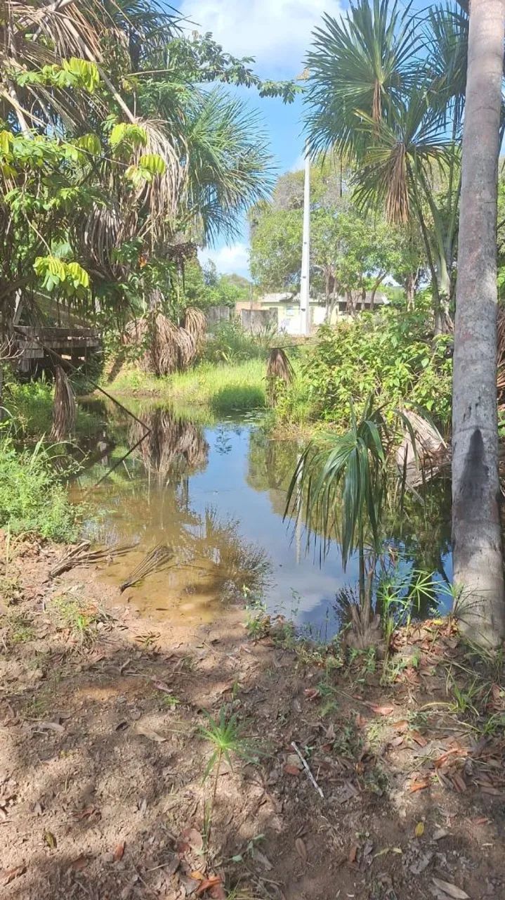 Vende se Chácara no Cantazinho. - Foto 3