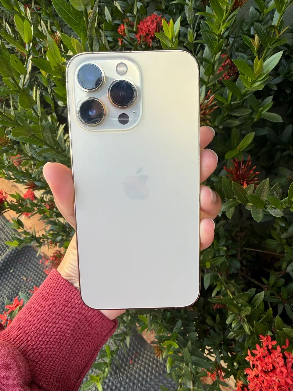 iPhone 13 Pro 256g - Celulares e Smartphones - Vila Marli, Campo