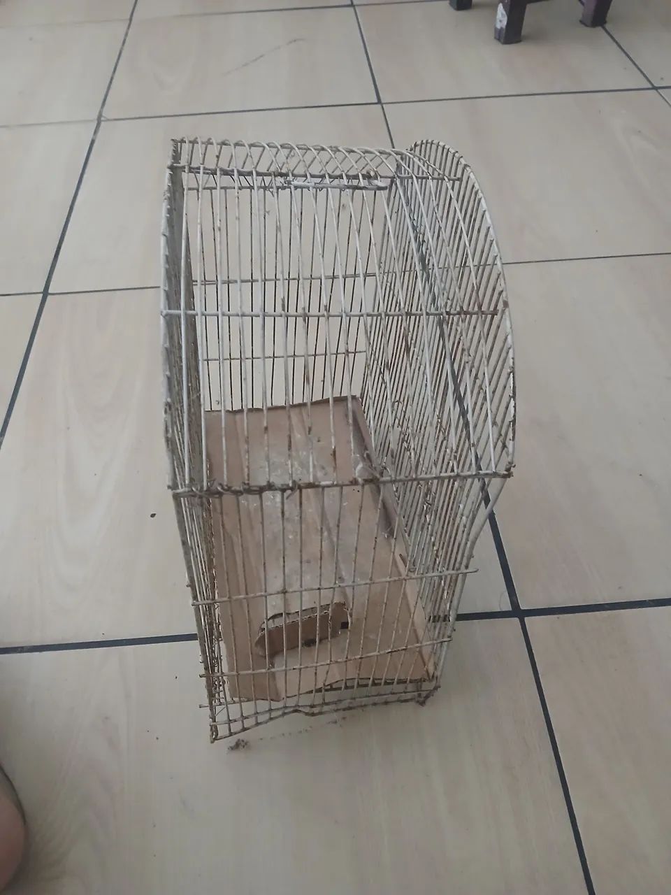 VENDO GAIOLA - Foto 4