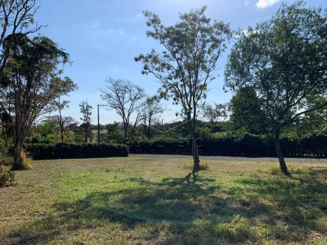 Lote excelente no PALMAS DEL REY! - Foto 5