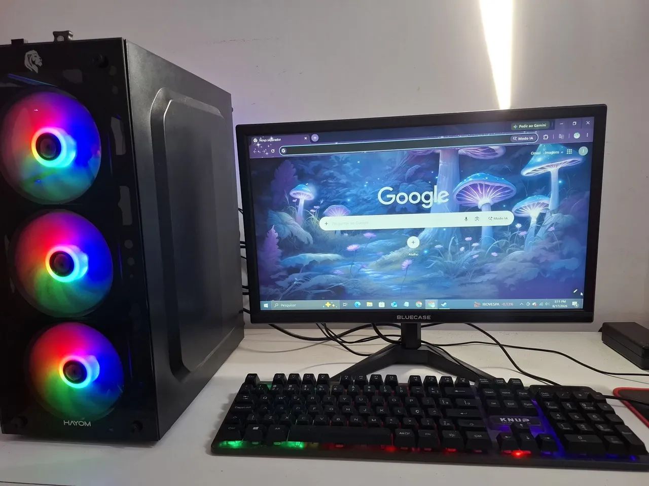 Pc gamer