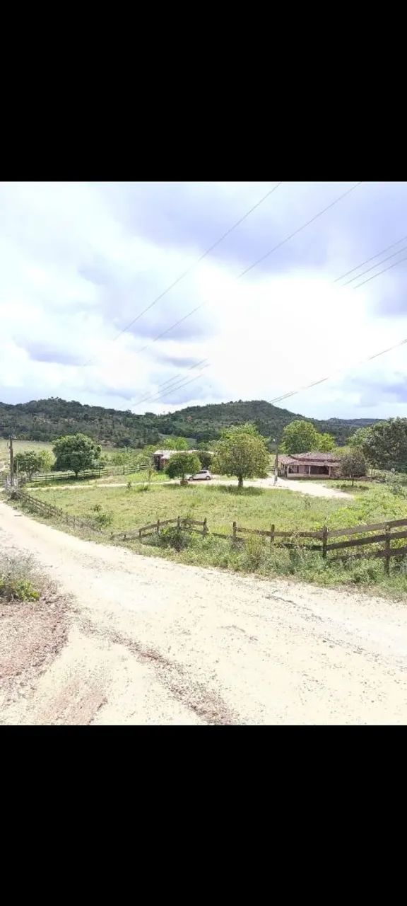 Vende-se sítio  - Foto 2