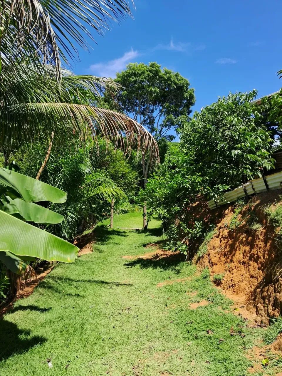 Sitio com linda area verde  em Timbuí - Fundão - ES - Foto 3