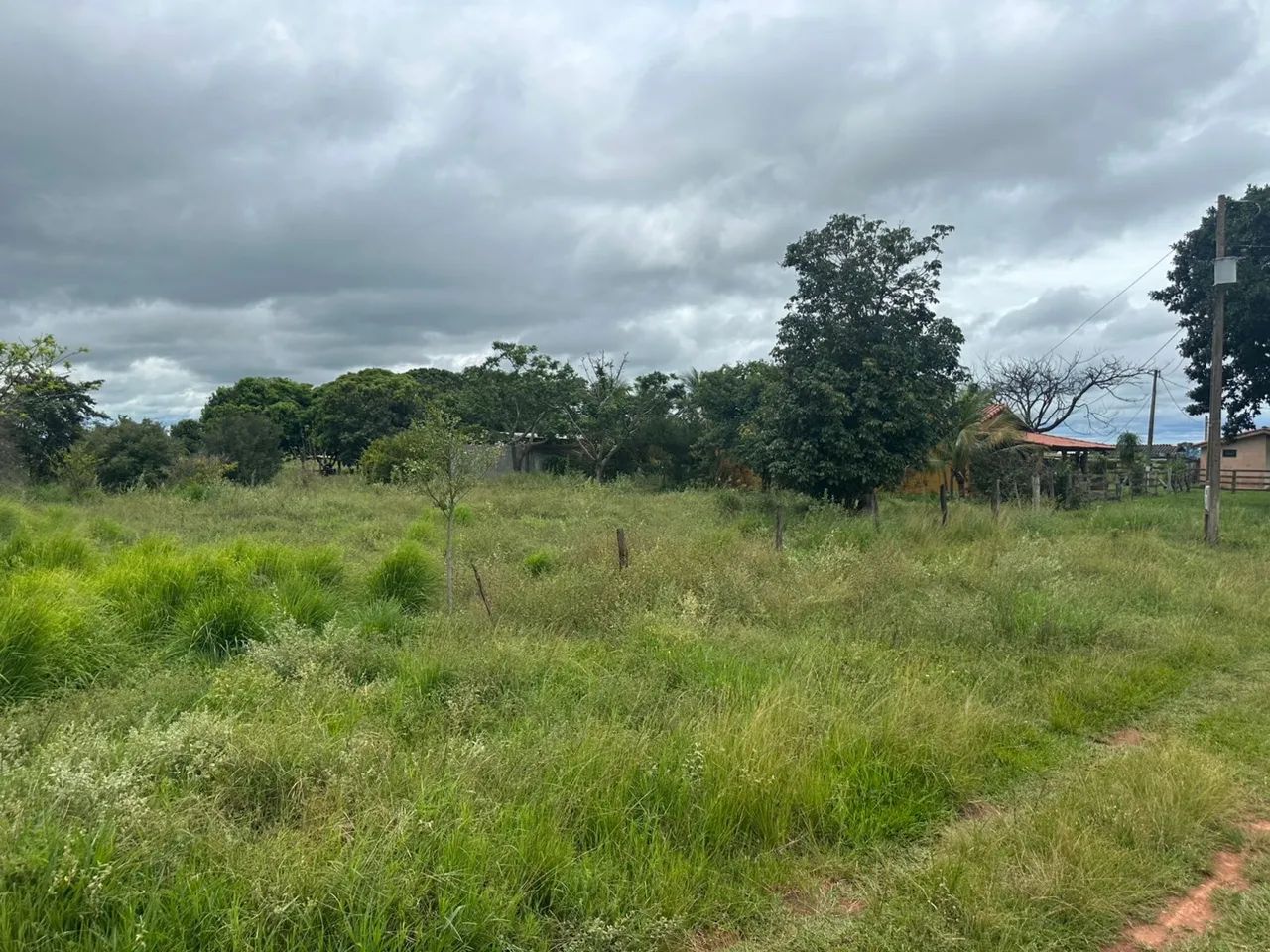Fazenda dupla aptidão  em frutal Minas Gerais  - Foto 2