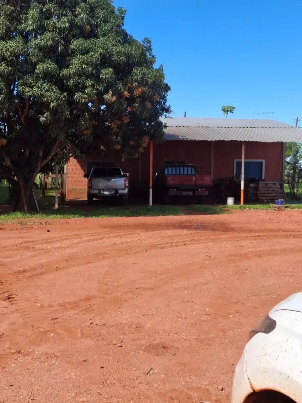 CÓD 587  Arrendamento para Lavoura | Jardim/MS - Foto 3