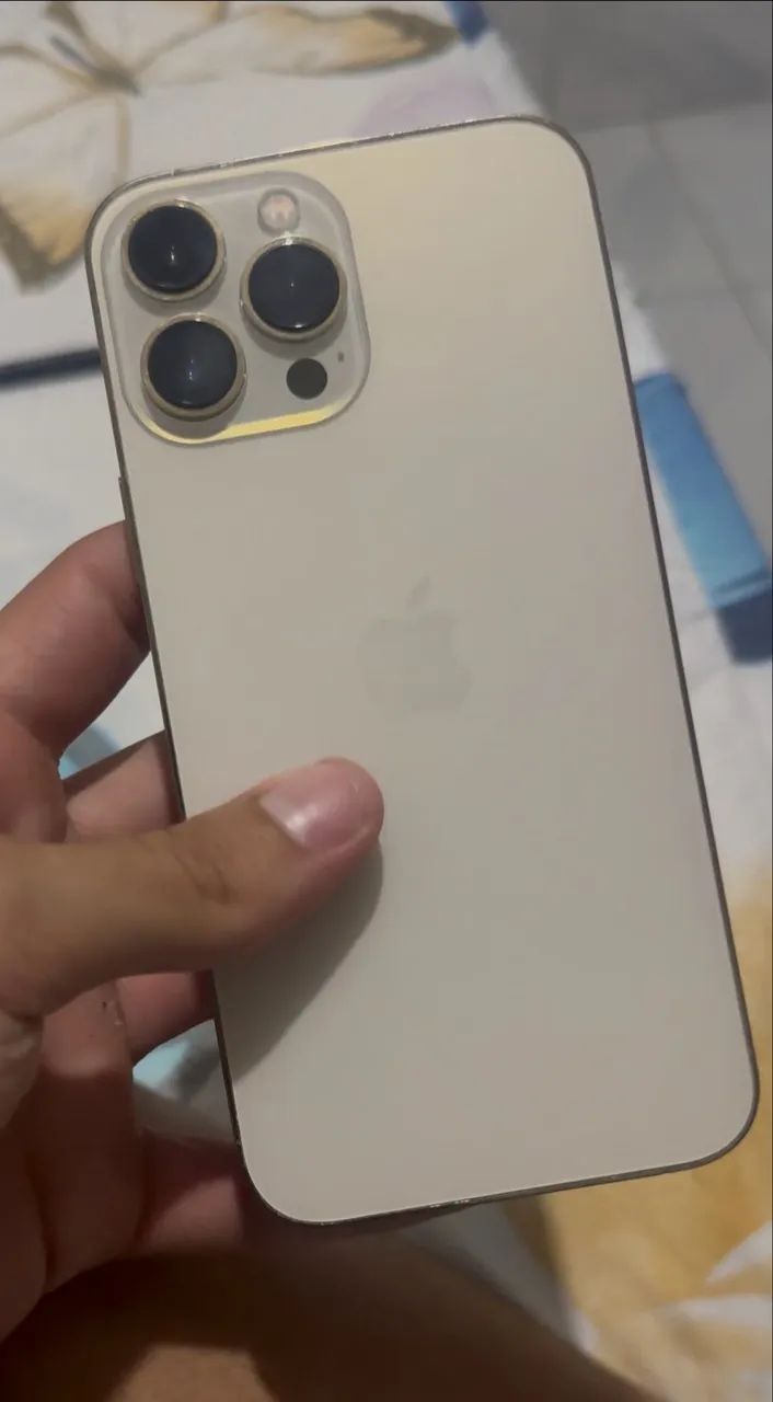 iPhone 13 Pro Max (detalhe)