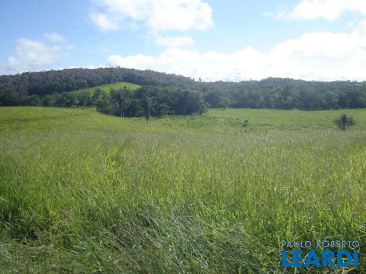 AREA - PARQUE SANTA ROSA - SP - Foto 4